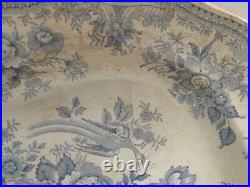 Antique Burgess&Leigh Asiatic Pheasant Platter 15x12, Blue Transferware