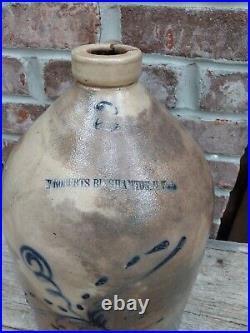 Antique W ROBERTS Binghampton NY Dragonfly Decorated Salt Glazed 2 Gal Crock Jug