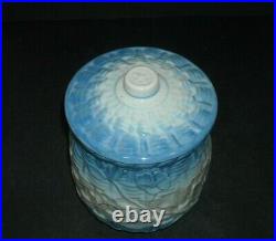 Blue & White SALT Canister Basketweave & Morning Glory Stoneware Salt Glaze