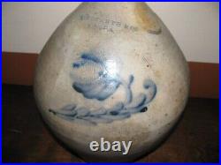 David Roberts Utica NY Salt Glazed Stoneware Ovid Jug 1827-1830