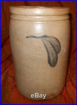 Great Small Early American Stoneware Jar With 3 Sets Cobalt Blue Leaves Around
