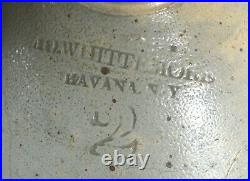 Rare Antique Ao Whittemore Ny 2 Ga Ovoid Stoneware Jug Blue Slip Impressed