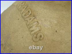 WM Radams Microbe Killer Pottery Stoneware Crock Jug Antique Primitive Clay BT